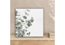 OneMillionCanvasses® Leinwandbild Eukalyptus Grün 20x20 cm Bild 1