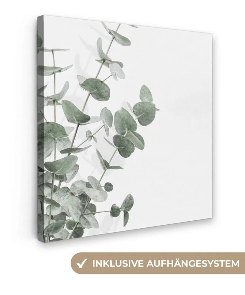 OneMillionCanvasses® Leinwandbild Eukalyptus Grün 20x20 cm - Bild 2