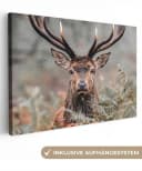 OneMillionCanvasses® Leinwandbild Hirsche Natur Herbst Waldtiere Fotodruck Bild 2
