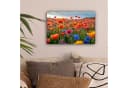 OneMillionCanvasses® Leinwandbild Blumen - Mohnblumen - Farbenfroh - Natur Bild 1