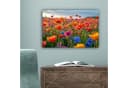 OneMillionCanvasses® Leinwandbild Blumen - Mohnblumen - Farbenfroh - Natur Bild 5