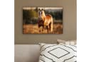OneMillionCanvasses® Leinwandbild Pferd Braun Natur Weide Tier Fotodruck Wand Dekoration Bild 4
