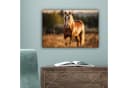 OneMillionCanvasses® Leinwandbild Pferd Braun Natur Weide Tier Fotodruck Wand Dekoration Bild 5