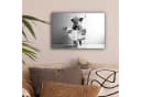 OneMillionCanvasses Leinwandbild Schottischer Highlander Grau Humor Bild 1