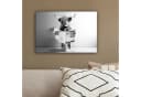 OneMillionCanvasses Leinwandbild Schottischer Highlander Grau Humor Bild 4