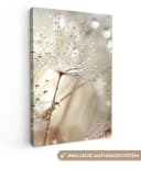 OneMillionCanvasses® Leinwandbild Natur Blumen Tropfen Regen Fotodruck Bild 2