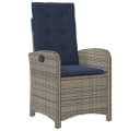 vidaXL Gartenstuhl 2er-Set Grau mit Kissen Verstellbar Poly Rattan Bild 4