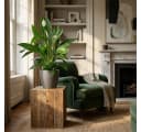 Florora Spathiphyllum Einblatt Zimmerpflanze 80 cm Grün/Weiß Bild 1