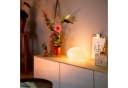 Philips Hue LED Tischleuchte Flourish Grau Smart Home dimmbar Bild 4