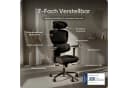 DESKSPACE Move Pro Bürostuhl Netzrücken 3D-Armlehnen Ergonomisch Bild 4