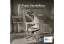 DESKSPACE Move Pro Bürostuhl Ergonomisch Netzrücken 3D-Armlehnen Bild 4