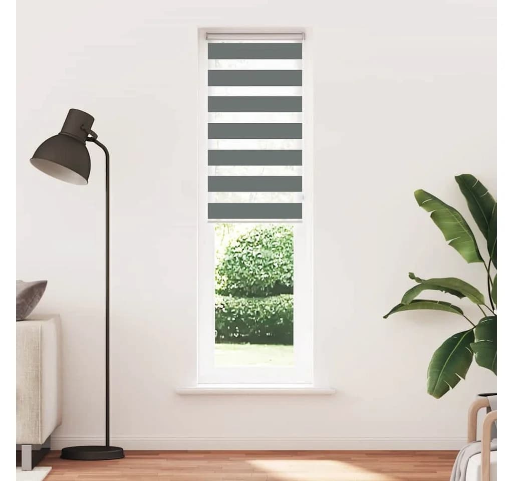 VIDAXL Doppelrollo Dunkelgrau 60x200 cm Zebra-Jalousie Polyester