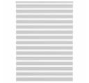 vidaXL Zebra-Rollo Doppelrollo Hellgrau 160x230 cm Polyester Bild 2