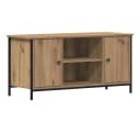 vidaXL TV-Schrank Artisan-Eiche 100 x 40 x 50 cm Holzwerkstoff Bild 2