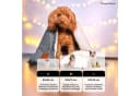Wahre Tierliebe Tierdecke Premium Kuscheldecke Fluffy Grau Bild 5