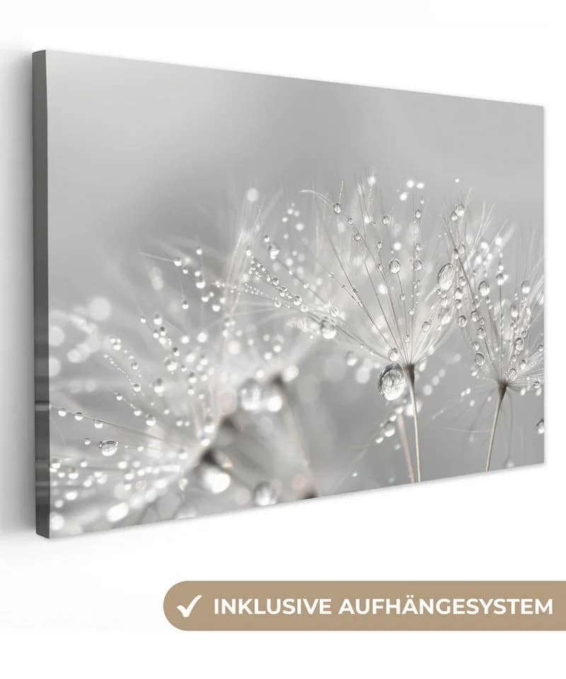OneMillionCanvasses® Leinwandbild Löwenzahn - Wassertropfen - Stilleben - Bild 2