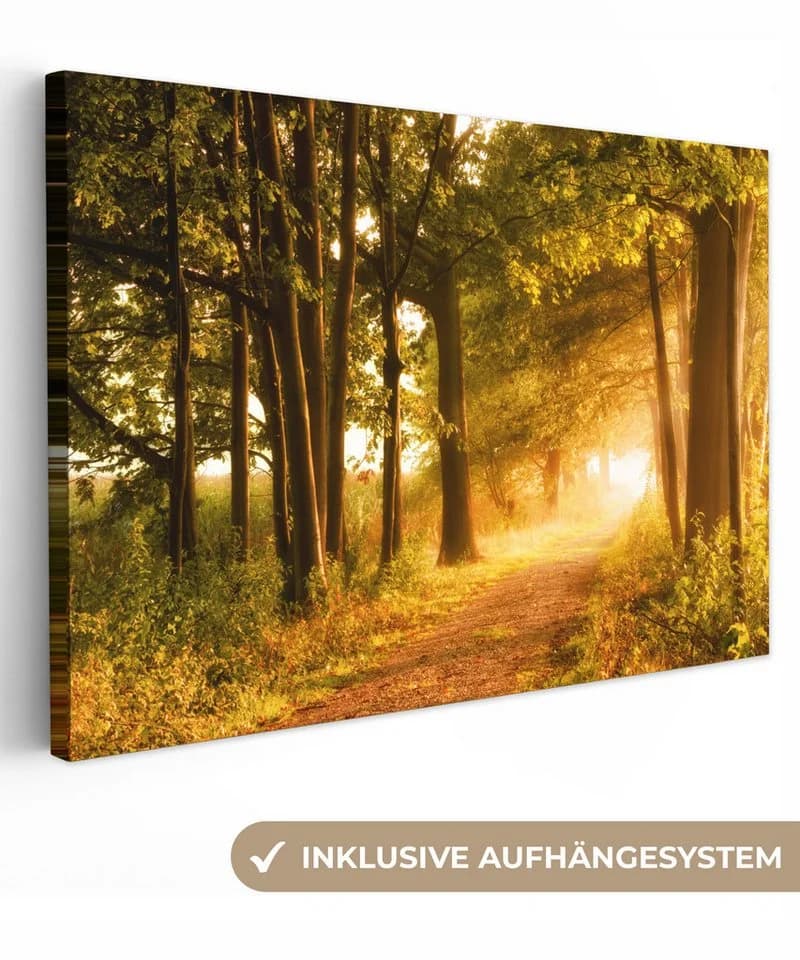 OneMillionCanvasses Leinwandbild Wald - Bäume - Herbst - Natur Fotodruck 30x20 cm - Bild 2