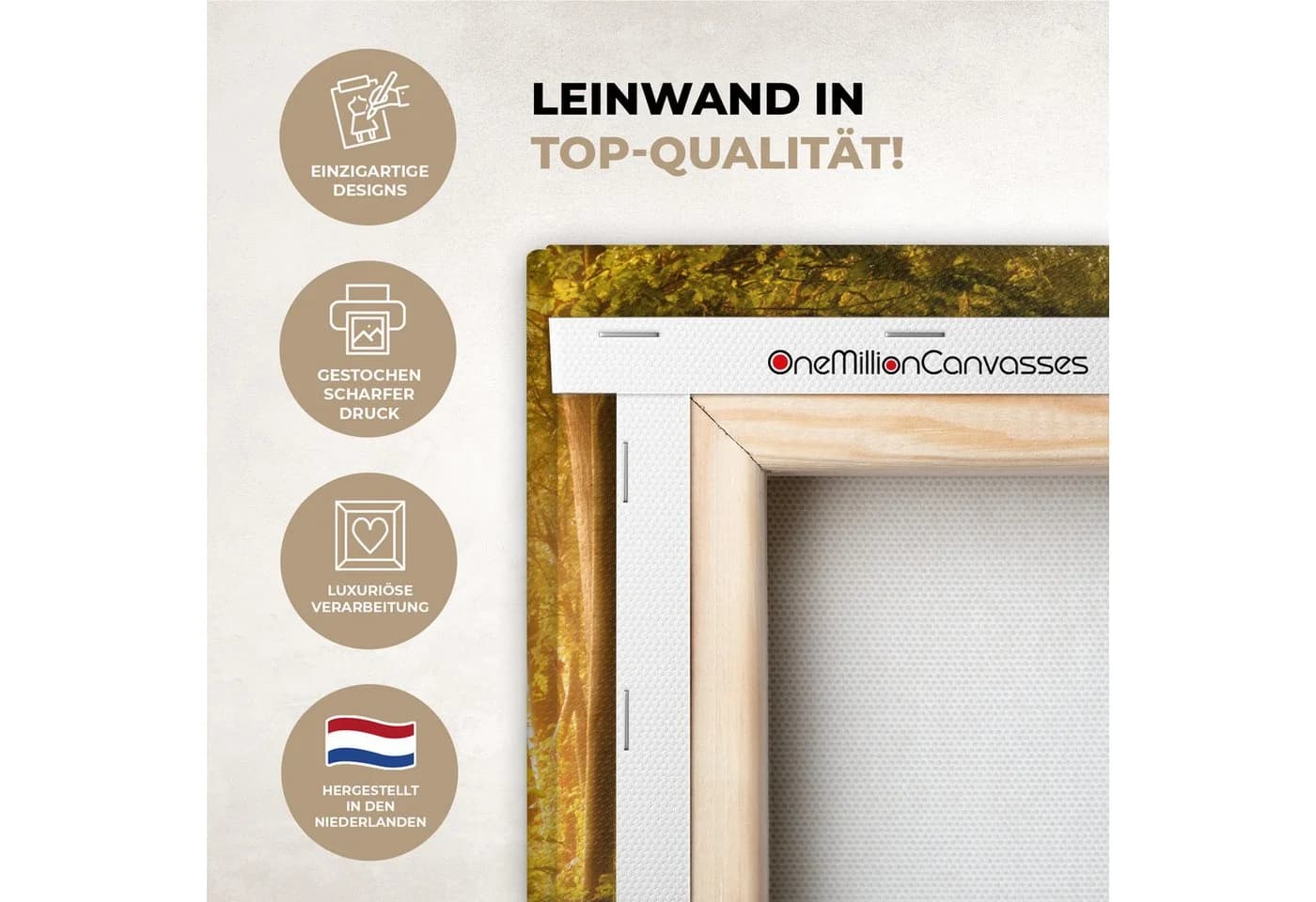 OneMillionCanvasses Leinwandbild Wald - Bäume - Herbst - Natur Fotodruck 30x20 cm - Bild 3