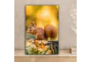 OneMillionCanvasses® Leinwandbild Eichhörnchen Herbst Wald 20x30 cm Bild 1