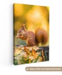 OneMillionCanvasses® Leinwandbild Eichhörnchen Herbst Wald 20x30 cm Bild 2