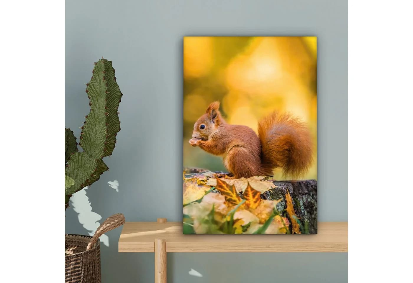 OneMillionCanvasses® Leinwandbild Eichhörnchen Herbst Wald 20x30 cm - Bild 5