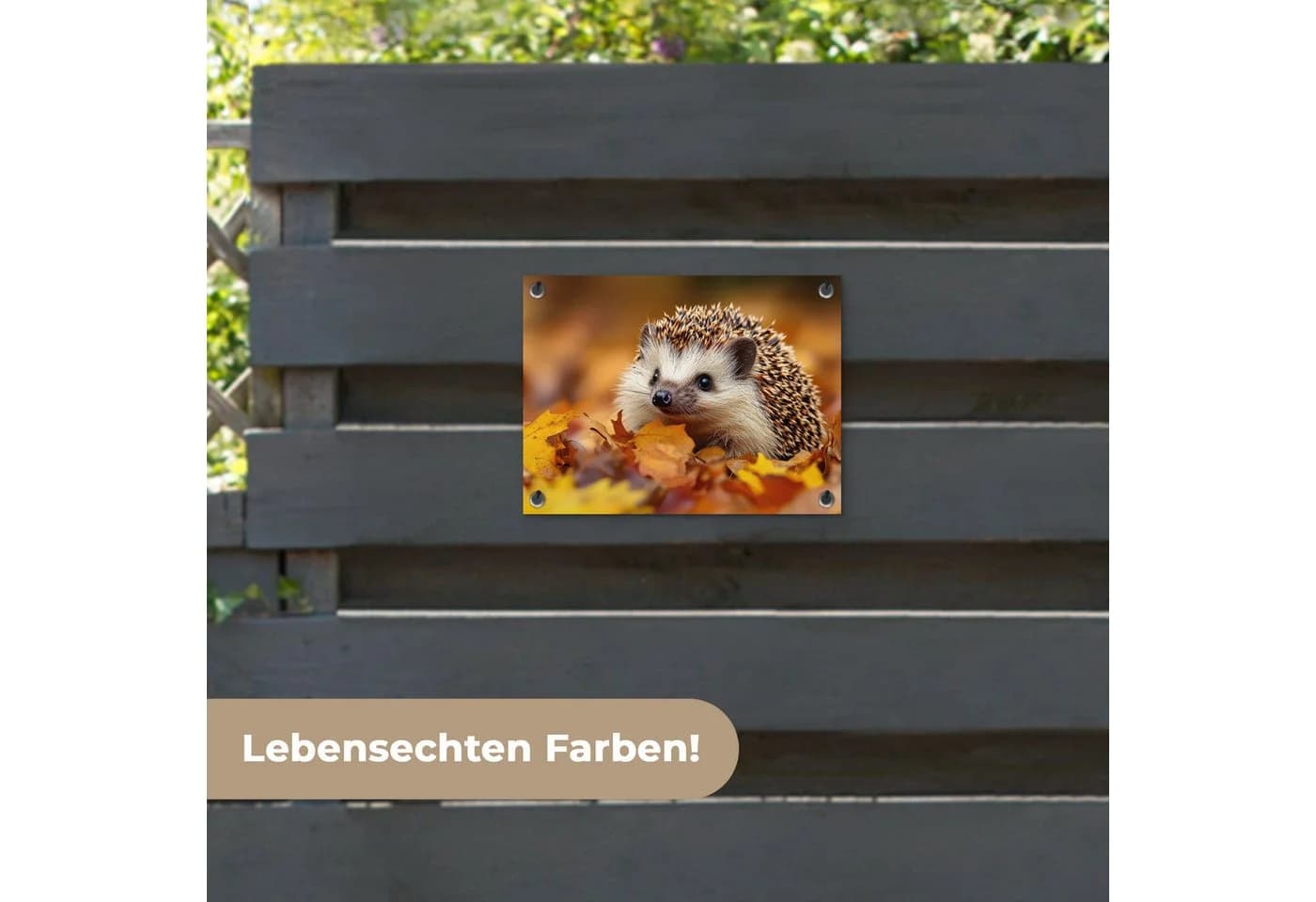 OnlyWow Gartenposter Igel Wald Herbstlaub PVC - Bild 4