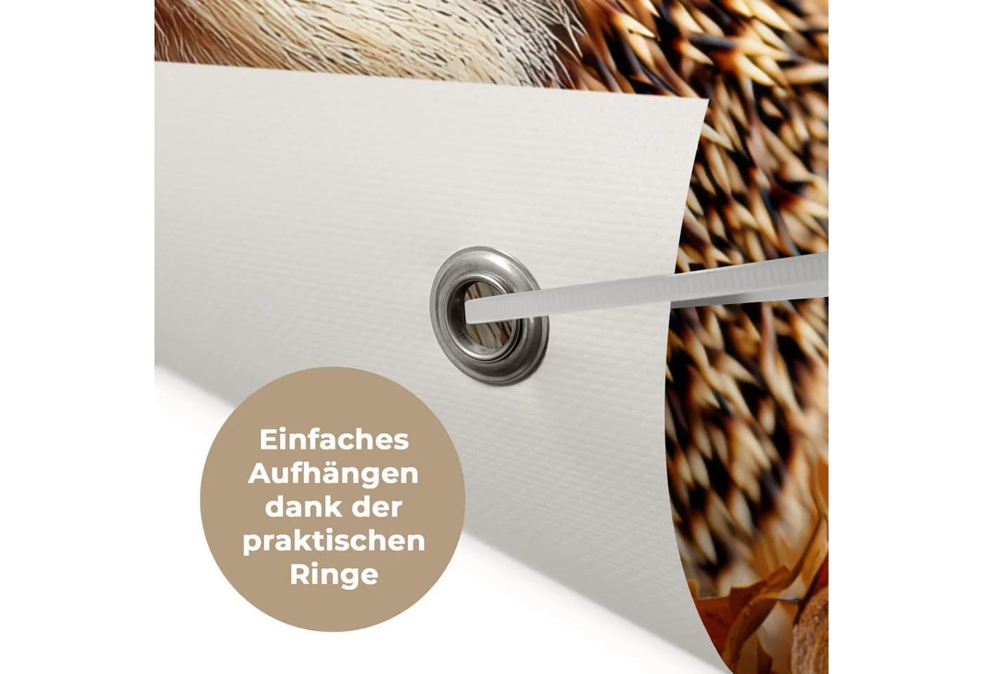 OnlyWow Gartenposter Igel Wald Herbstlaub PVC - Bild 5