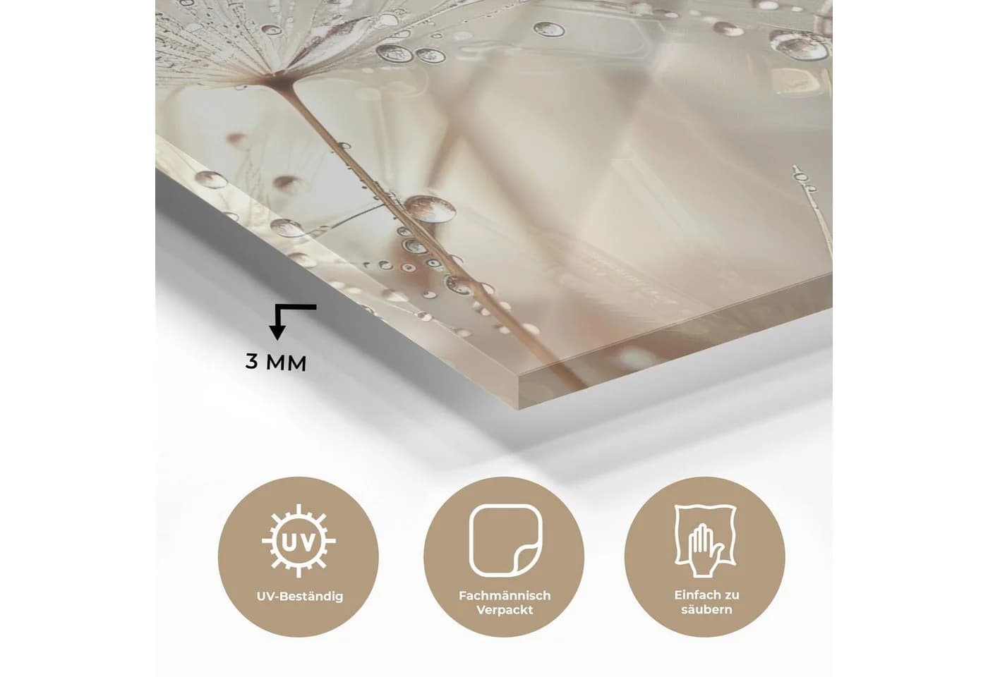 MuchoWow Acrylglasbild Blumen Beige Modern - Bild 3