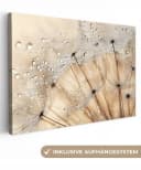 OneMillionCanvasses® Leinwandbild Löwenzahn Abstrakt Natur Beige Bild 2