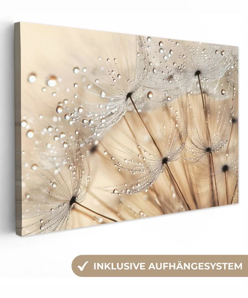 OneMillionCanvasses® Leinwandbild Löwenzahn Abstrakt Natur Beige - Bild 2