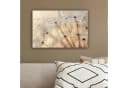 OneMillionCanvasses® Leinwandbild Löwenzahn Abstrakt Natur Beige Bild 4