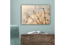 OneMillionCanvasses® Leinwandbild Löwenzahn Abstrakt Natur Beige Bild 5