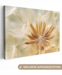 OneMillionCanvasses® Leinwandbild Löwenzahn Beige Abstrakt Modern Bild 2