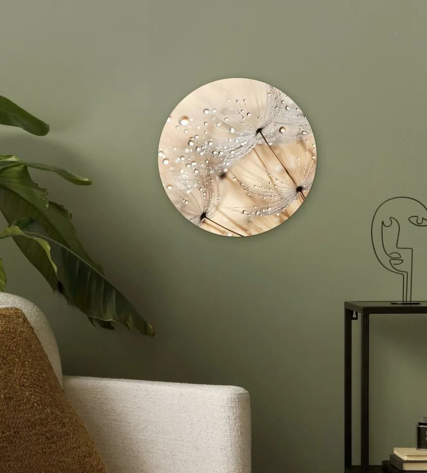 MuchoWow Wandbild Löwenzahn Abstrakt Beige Forex - Bild 3