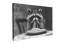 OneMillionCanvasses® Leinwandbild Waschbär Schwarz/Weiß Modern Bild 2