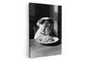 Leinwandbild Bulldogge mit Sonnenbrille und Spaghetti - 20x30 cm Bild 2