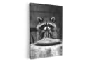 OneMillionCanvasses® Leinwandbild Waschbär Niedlich Fotodruck 20x30 cm Bild 2