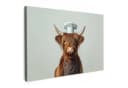 OneMillionCanvasses® Leinwandbild Schottischer Highlander Braun Bild 2