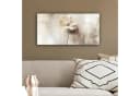 OneMillionCanvasses® Leinwandbild Panorama Blume Beige Fotodruck Wandbild Bild 4