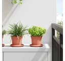 vidaXL Blumentopf Set 6-tlg. Ziegelrot Kunststoff Rund Bild 1