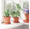 vidaXL Blumentopf Set 6-tlg. Ziegelrot Kunststoff Rund Bild 4