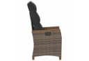 vidaXL Verstellbarer Gartenstuhl Grau Poly-Rattan mit Kissen Bild 5
