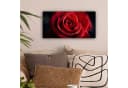 OneMillionCanvasses® Leinwandbild Panorama Rot - Rose - Romantisch, Fotodruck Bild 1