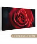 OneMillionCanvasses® Leinwandbild Panorama Rot - Rose - Romantisch, Fotodruck Bild 2