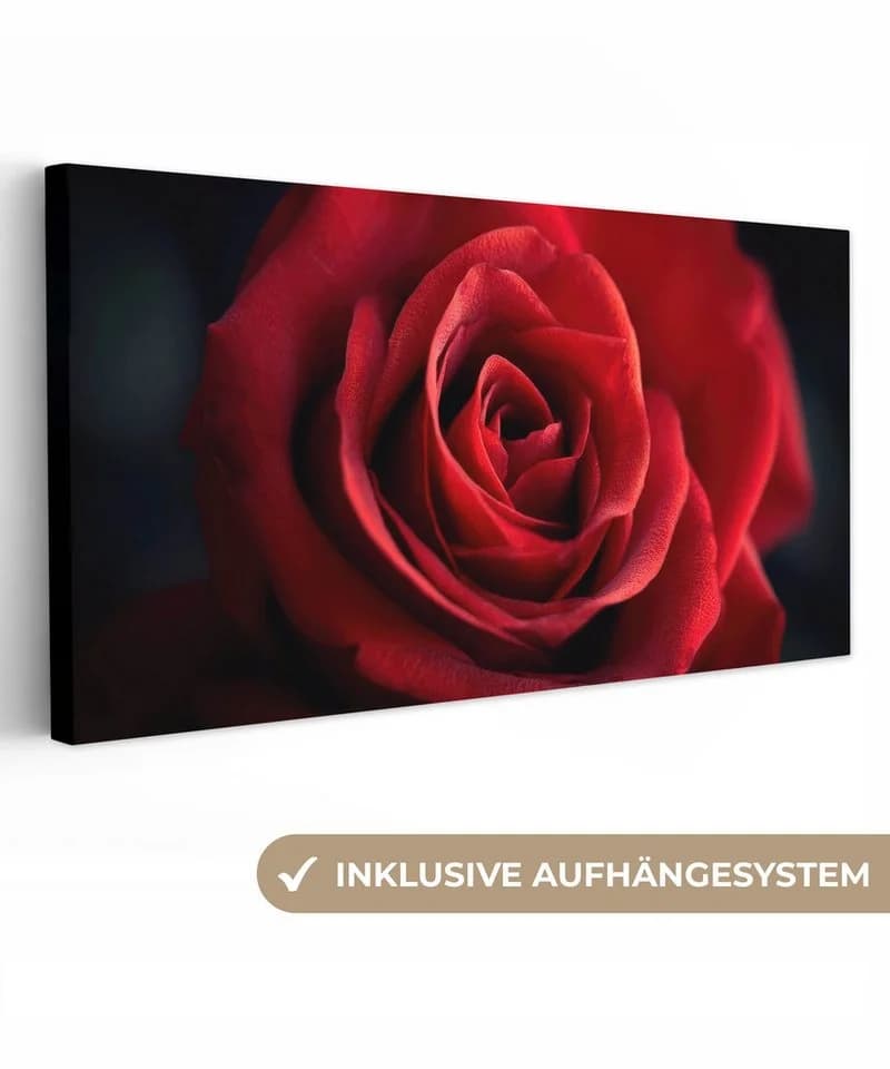 OneMillionCanvasses® Leinwandbild Panorama Rot - Rose - Romantisch, Fotodruck - Bild 2