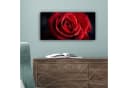 OneMillionCanvasses® Leinwandbild Panorama Rot - Rose - Romantisch, Fotodruck Bild 5