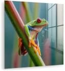 MuchoWow Acrylglasbild Bunter Frosch Modern Bild 2