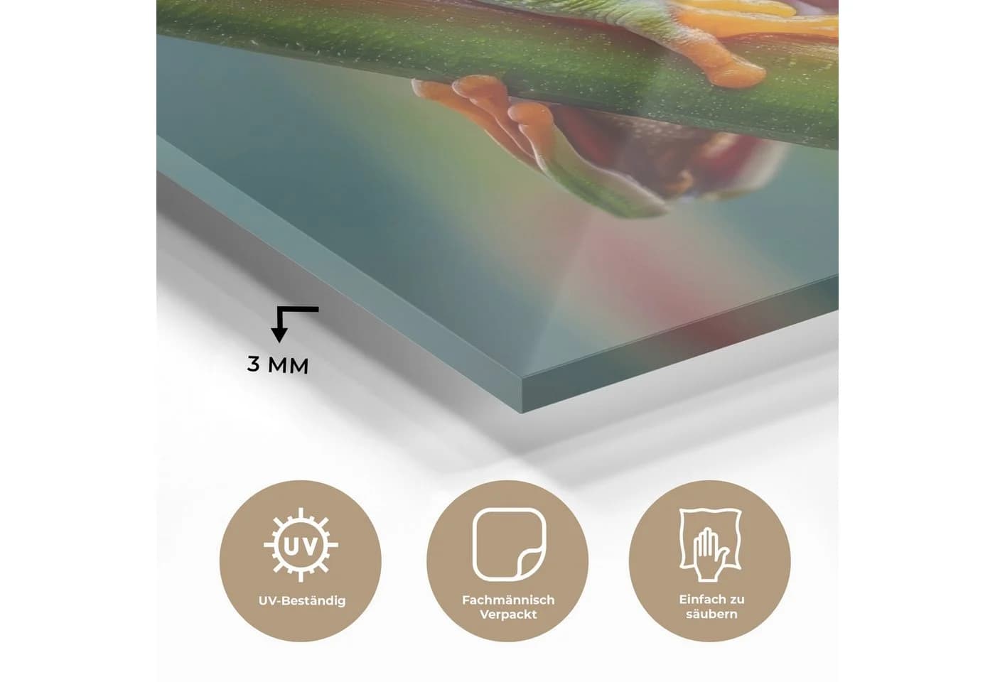 MuchoWow Acrylglasbild Bunter Frosch Modern - Bild 3