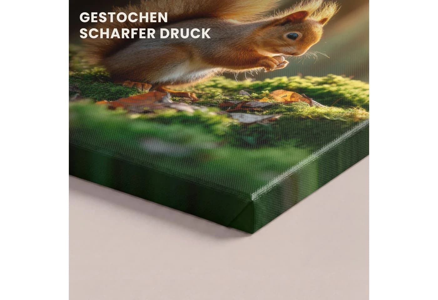 OneMillionCanvasses® Leinwandbild Eichhörnchen - Nuss - Gras, Fotodruck 20x20 cm - Bild 3