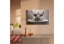 OneMillionCanvasses® Leinwandbild Schottischer Highlander Schwarz-Weiß Bild 1